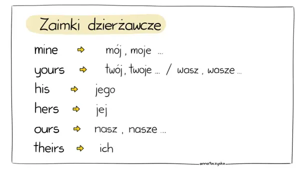 Zaimki dzierżawcze: mine (mój), yours (twój/wasz), his (jego), hers (jej), ours (nasz), theirs (ich).