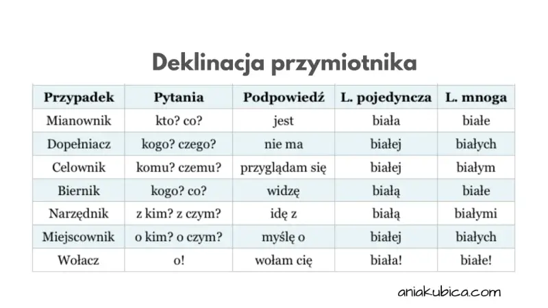Tabela pokazuje odmianę przymiotnika "biały" przez przypadki, pytania, podpowiedzi i liczby.